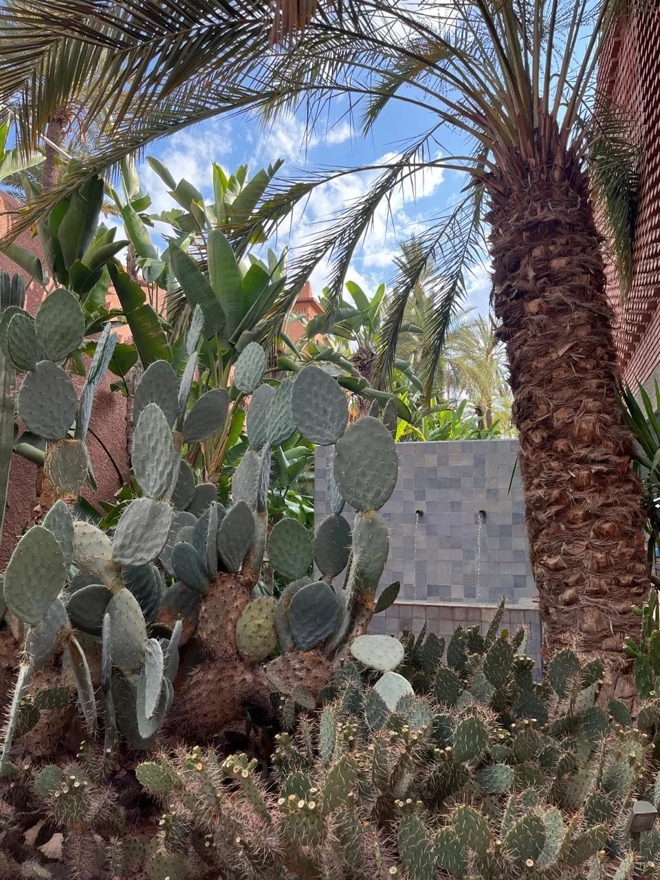 Musée Yves Saint Laurent Marrakech