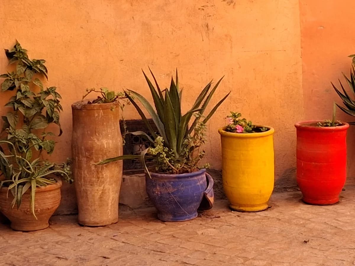 Colorful terracotta pots with plants in a traditional patio in Marrakech
