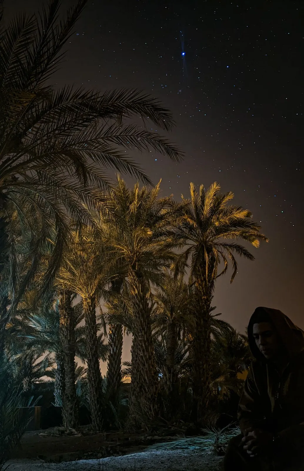 Palmeras iluminadas bajo un cielo estrellado en un oasis del sur de Marruecos