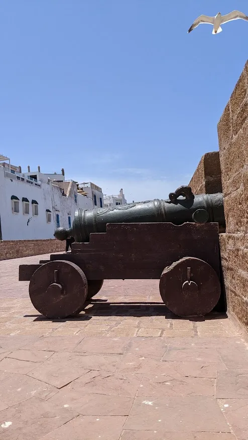 Canon en bronze sur son affût en bois, sur les remparts de la Skala d'Essaouira, avec une mouette dans le ciel