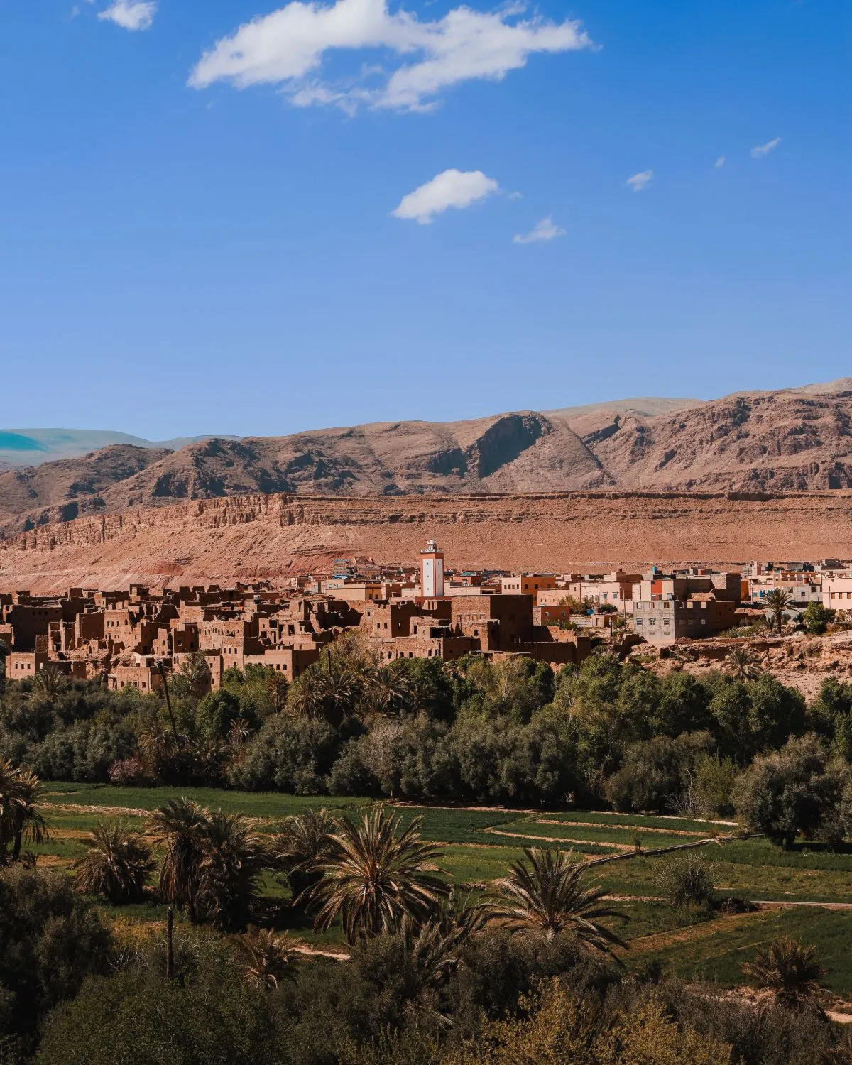 Earthen ksar and cultivated fields among palm trees in an oasis of southern Morocco