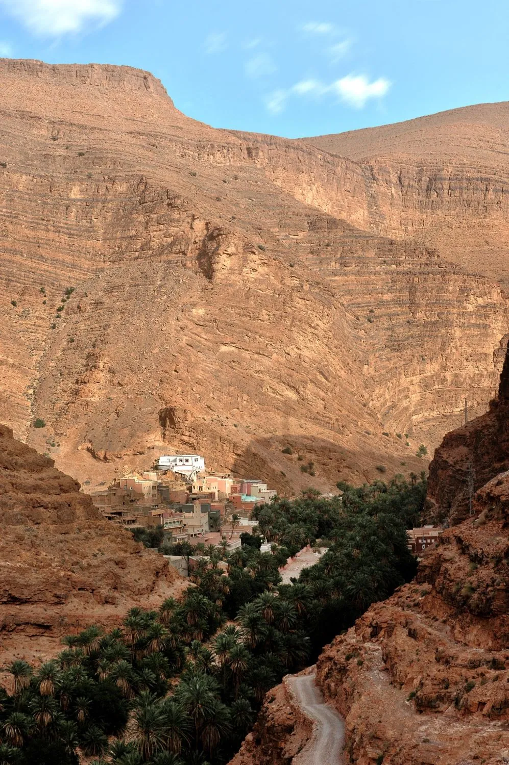 Fint oasis: a green haven near Ouarzazate