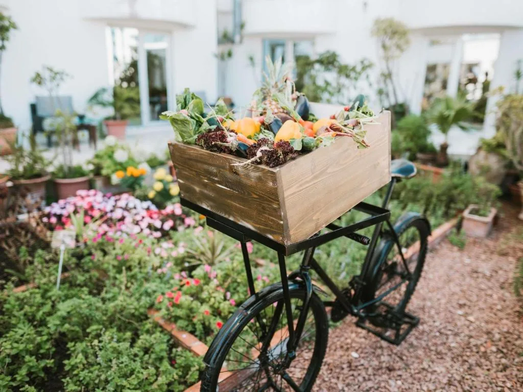Garden — Le Diwan Rabat — MGallery