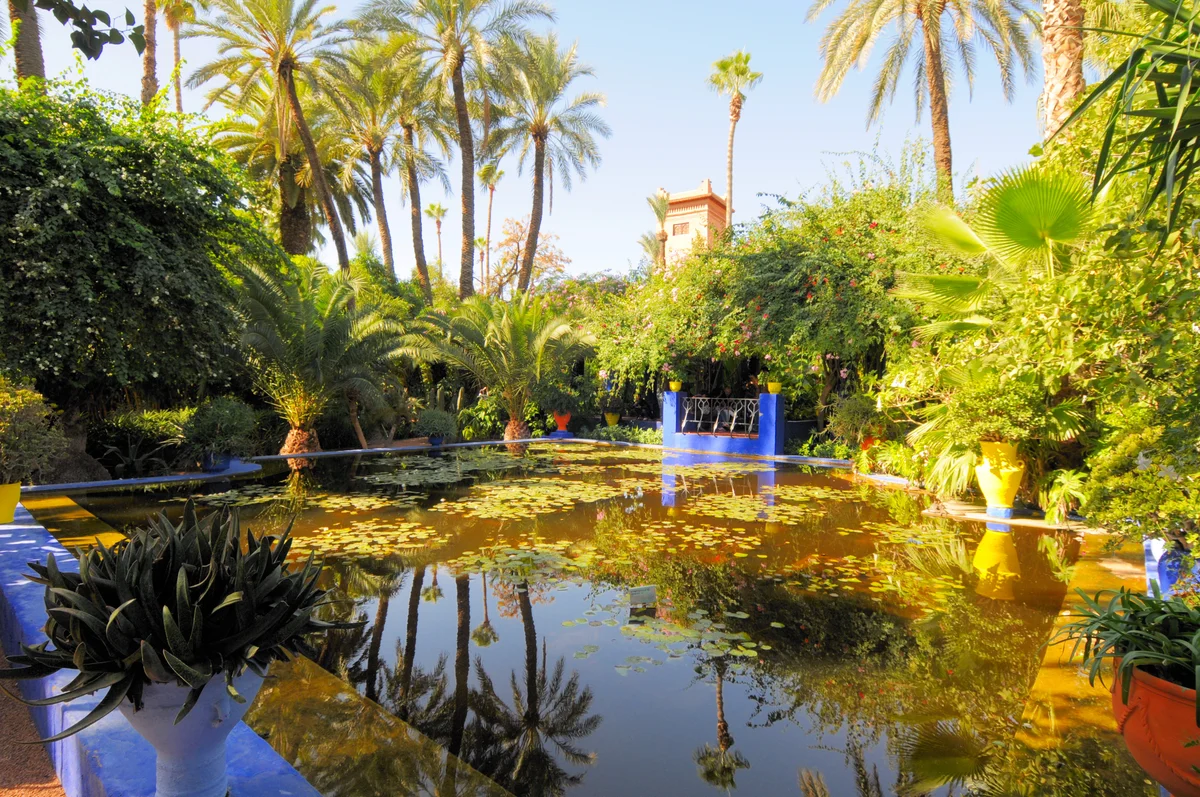Il Giardino Majorelle, nel quartiere di Gueliz