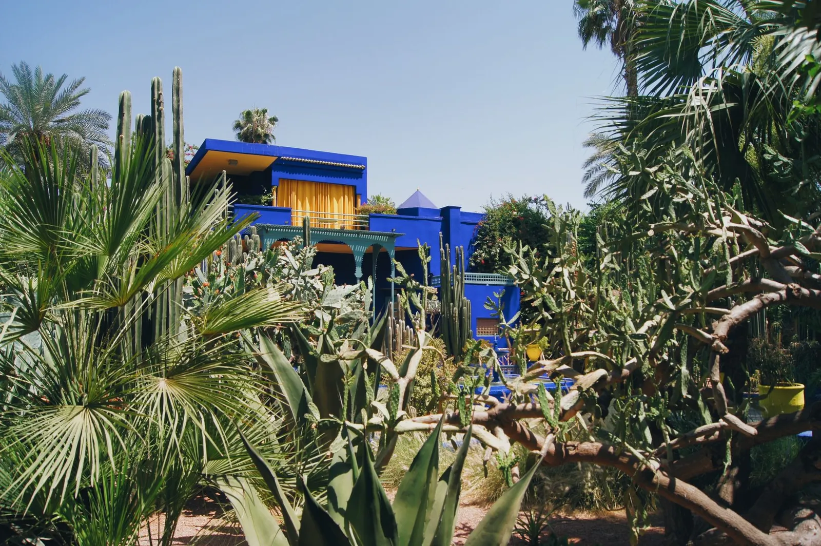 Villa bleue et cactus du Jardin Majorelle, voisin du Musée Yves Saint Laurent à Marrakech