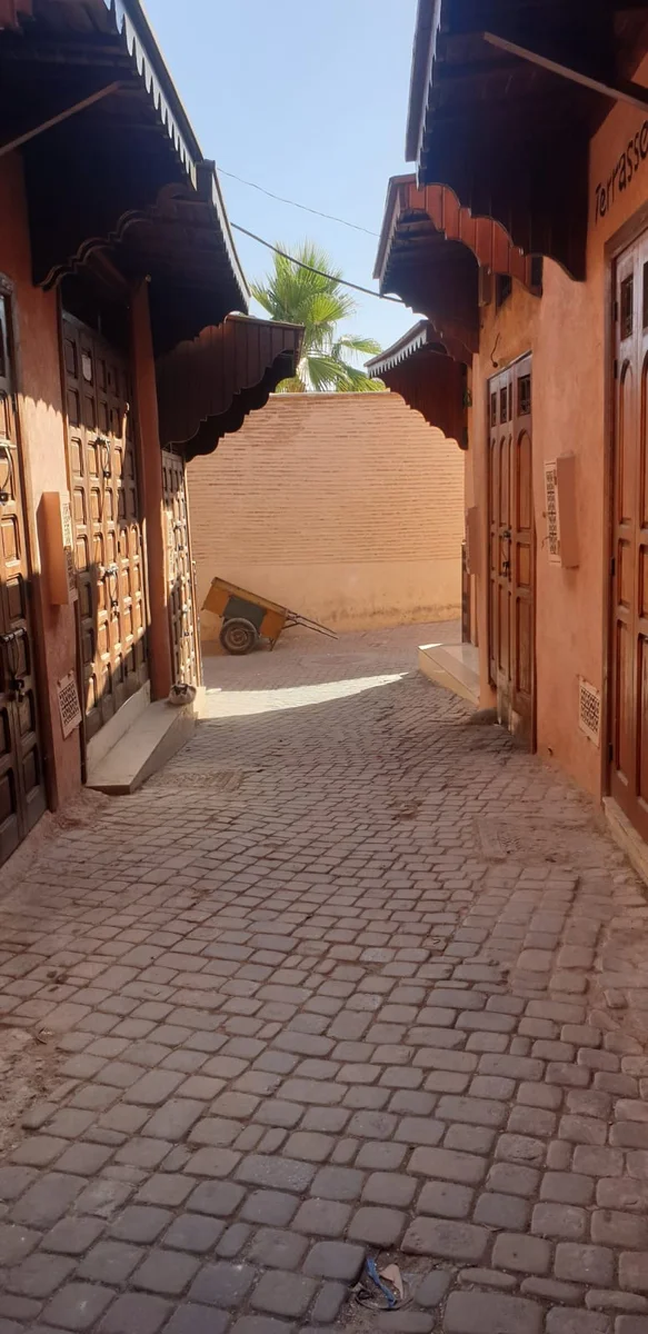 Médina de Marrakech : guide complet pour s'y retrouver