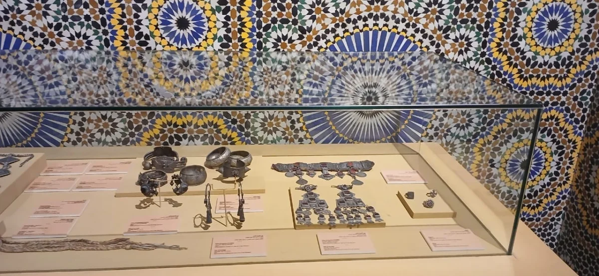 Dar El Bacha - Musée des Confluences