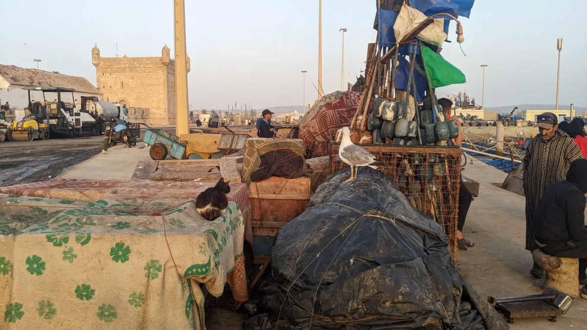 Day Trip to Essaouira from Marrakech