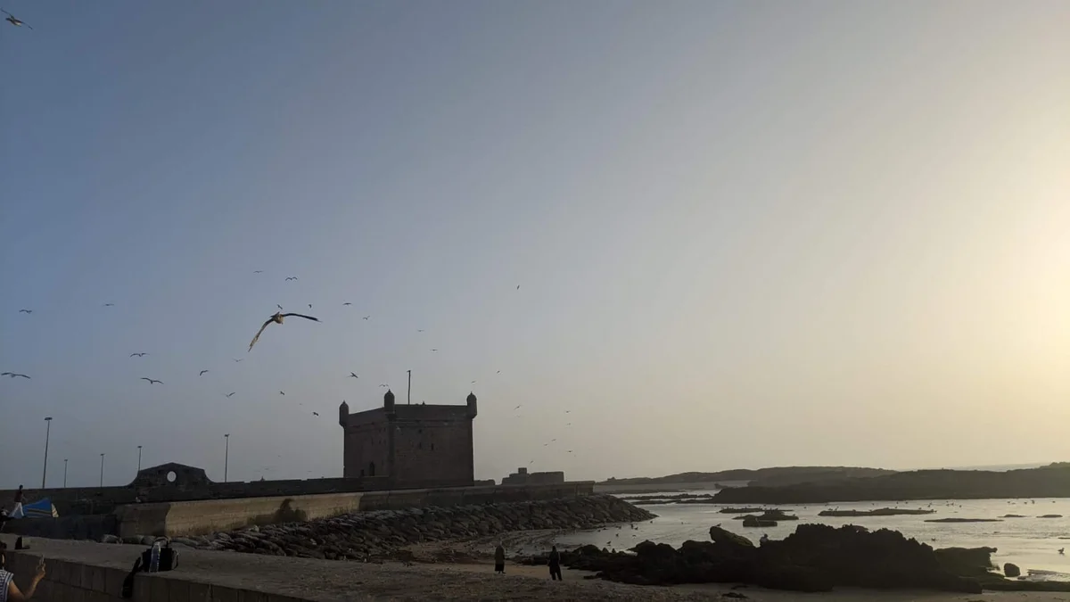 Day Trip to Essaouira from Marrakech