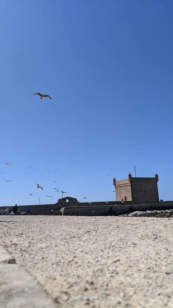 Day Trip to Essaouira from Marrakech